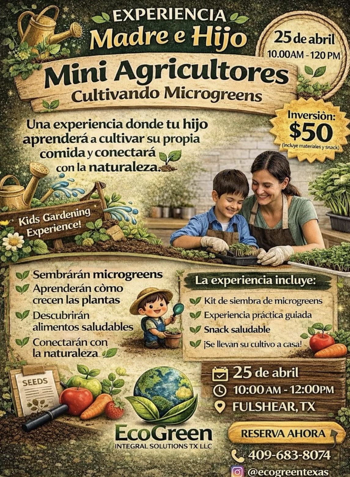 Cultivando microgreens